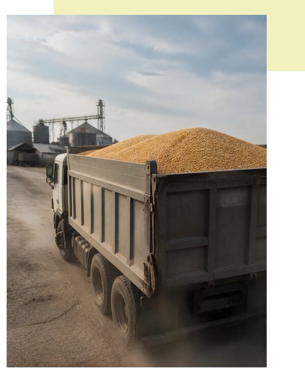 Перевозка сельхозпродукции навалом в Пушкино по цене от 3112 р. | Агросервис-Пшк