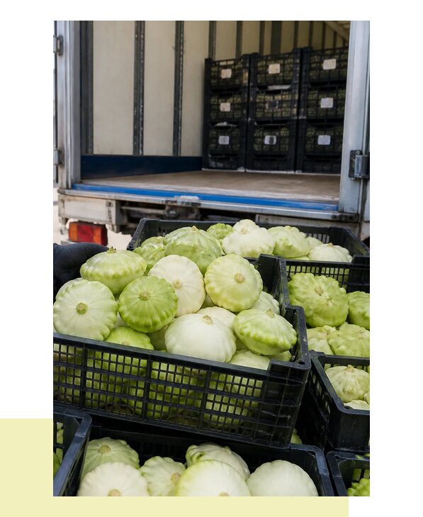 Перевозка патиссонов в Пушкино с гарантией сохранности